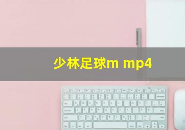 少林足球m mp4